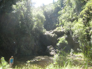 The tannin stained water was cool and clean fed by a small waterfall.